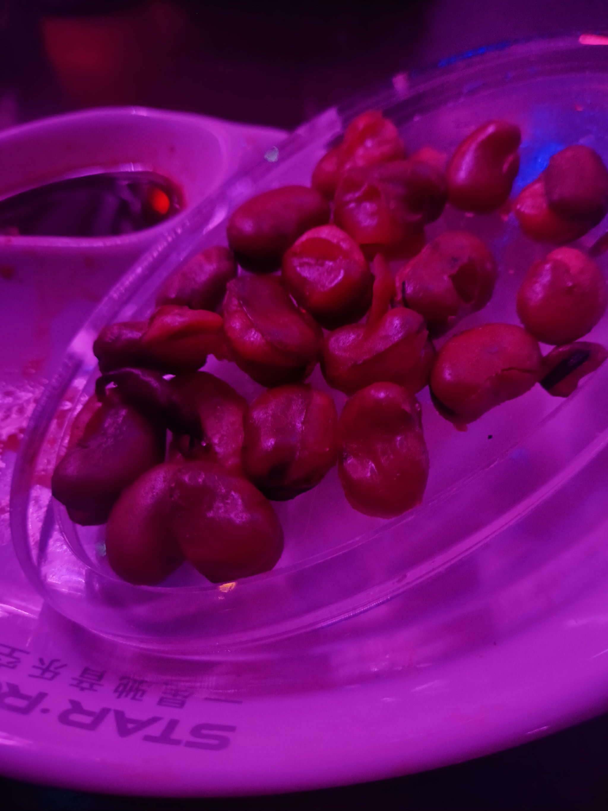 荆门商务KTV攻略分享-钟祥市ktv预定